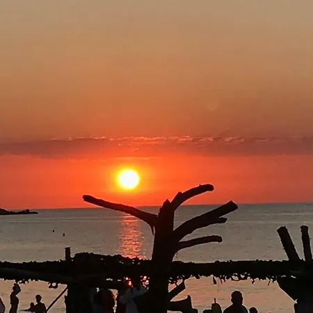 Balagne, Aregno, Voutes En Pierres Renovees
