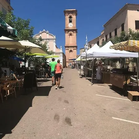 Balagne, Aregno, Voutes En Pierres Renovees Apartmán Aregno