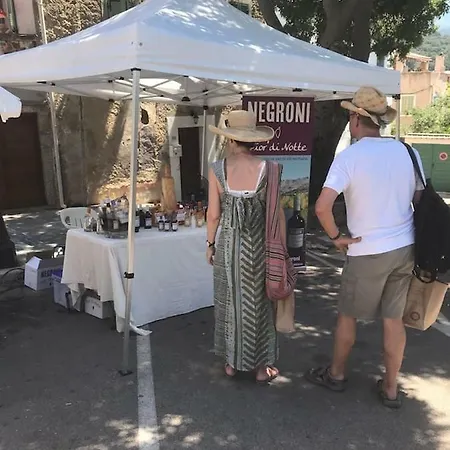 Balagne, Aregno, Voutes En Pierres Renovees * Aregno